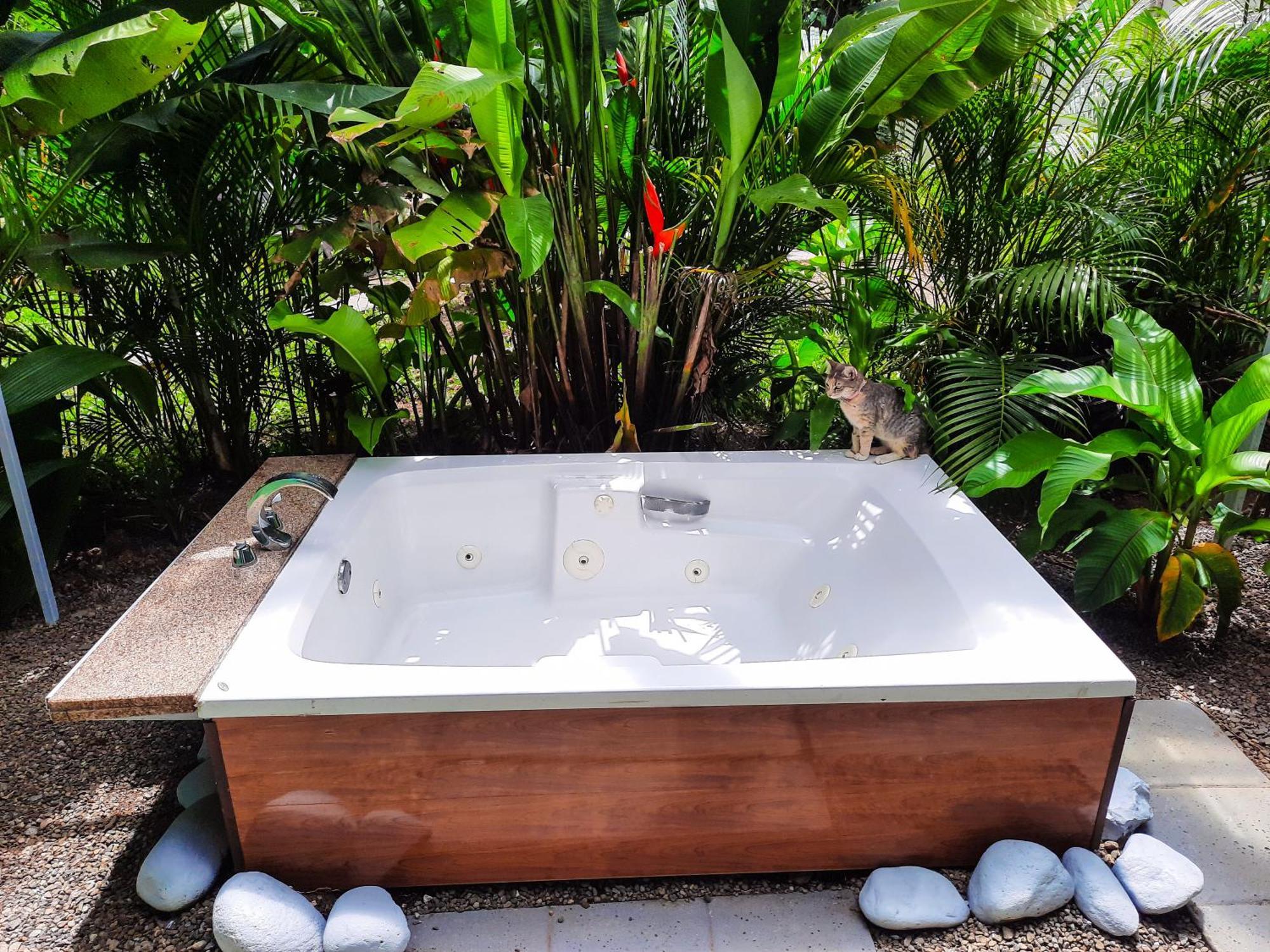 Country Villa La Fortuna Room photo